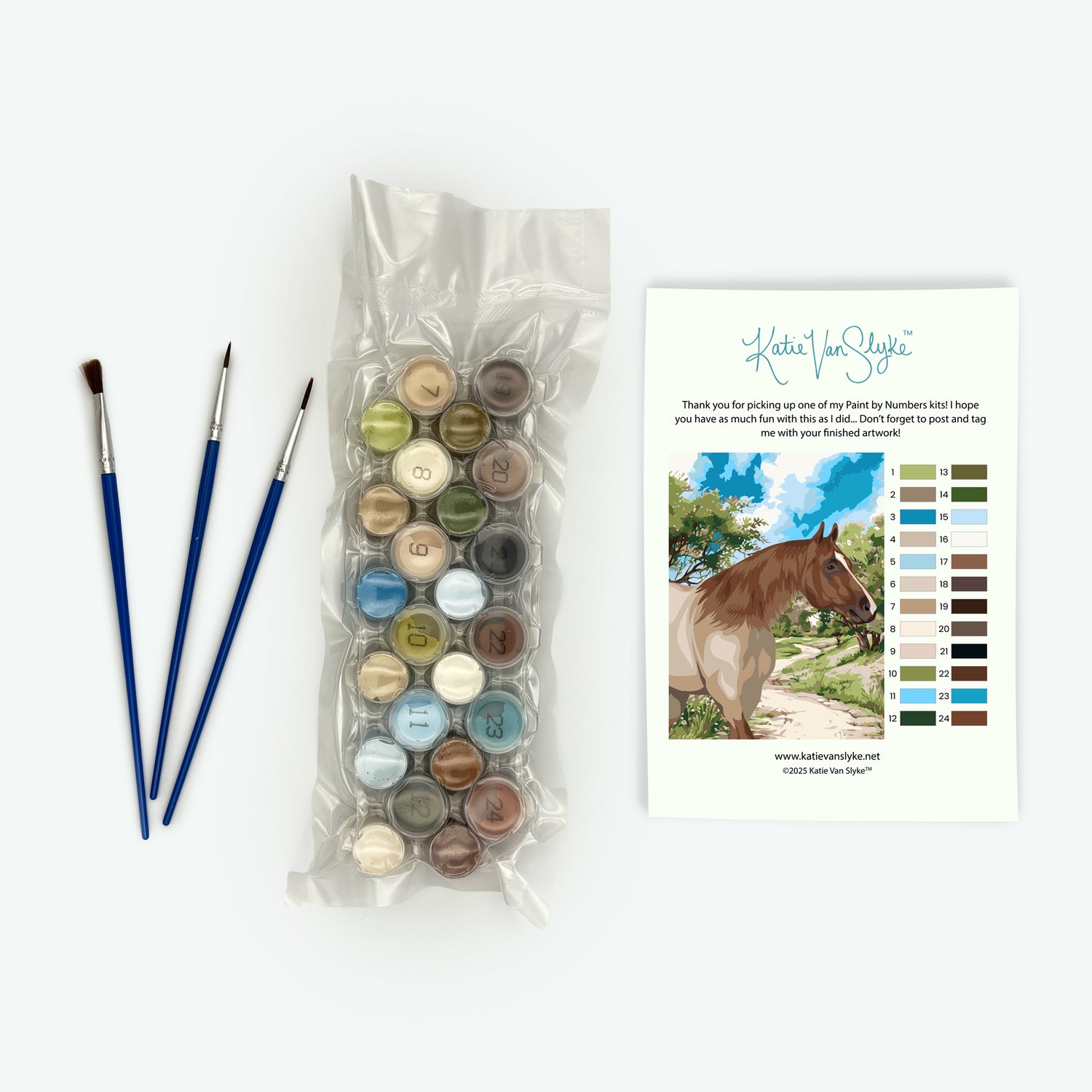 VS Code Red Paint by Number Kit by Katie Van Slyke®2