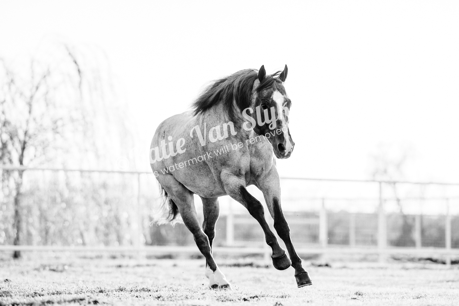 VS Running Digital Download by Katie Van Slyke®