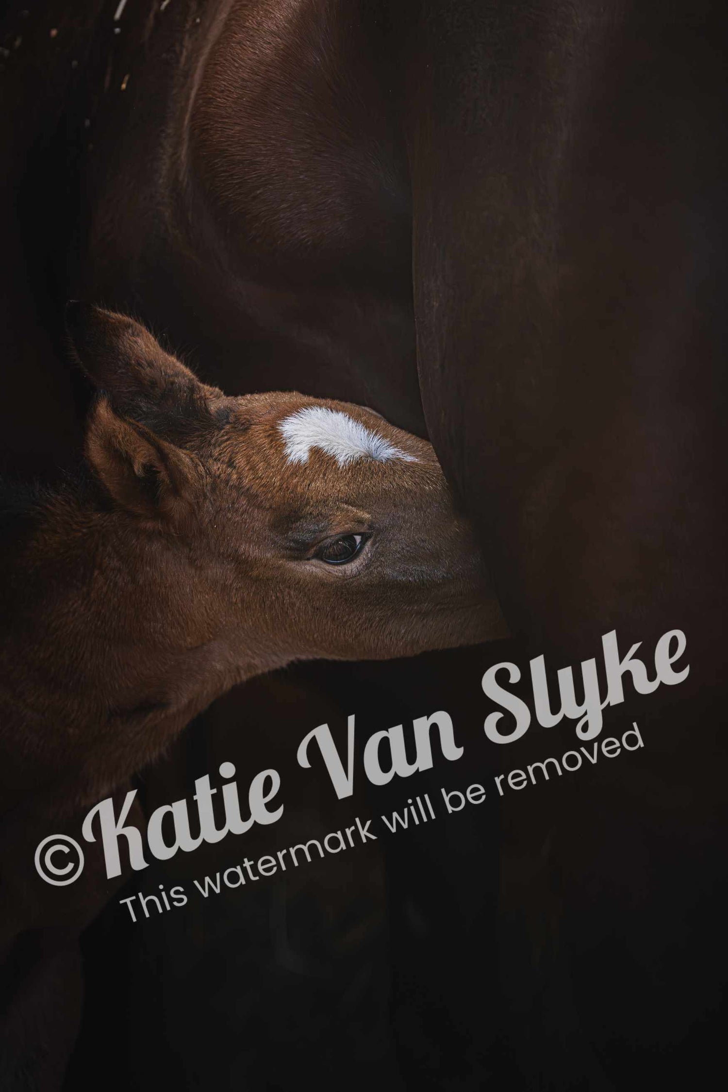 Bobbi Nursing Digital Download by Katie Van Slyke®