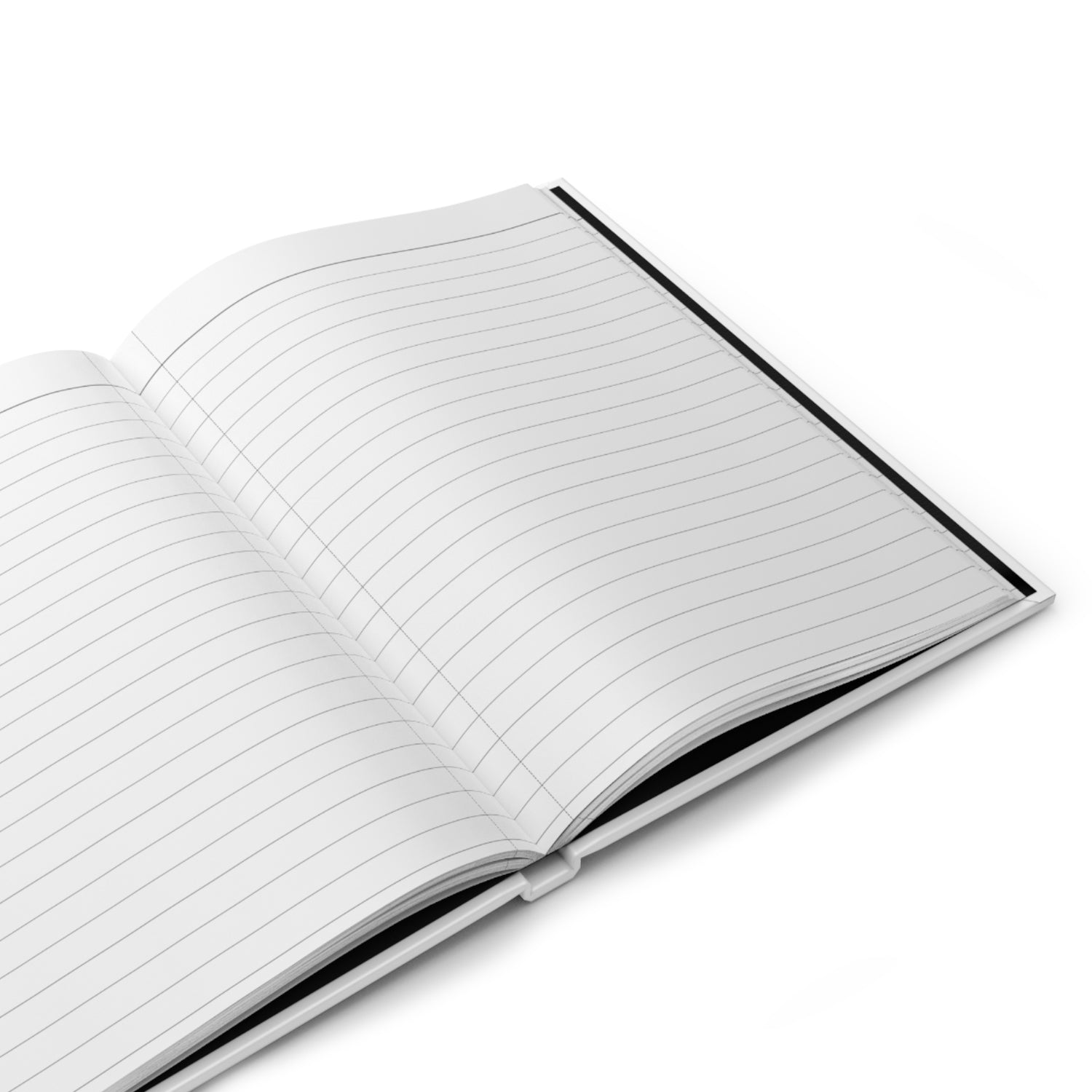 Glenn and Coco Journal by Katie Van Slyke - Inside