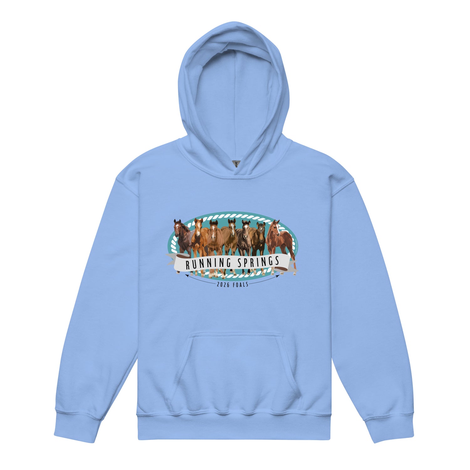 kids-2026-foals-lineup-hoodie-by-katie-van-slyke-carolina-blue