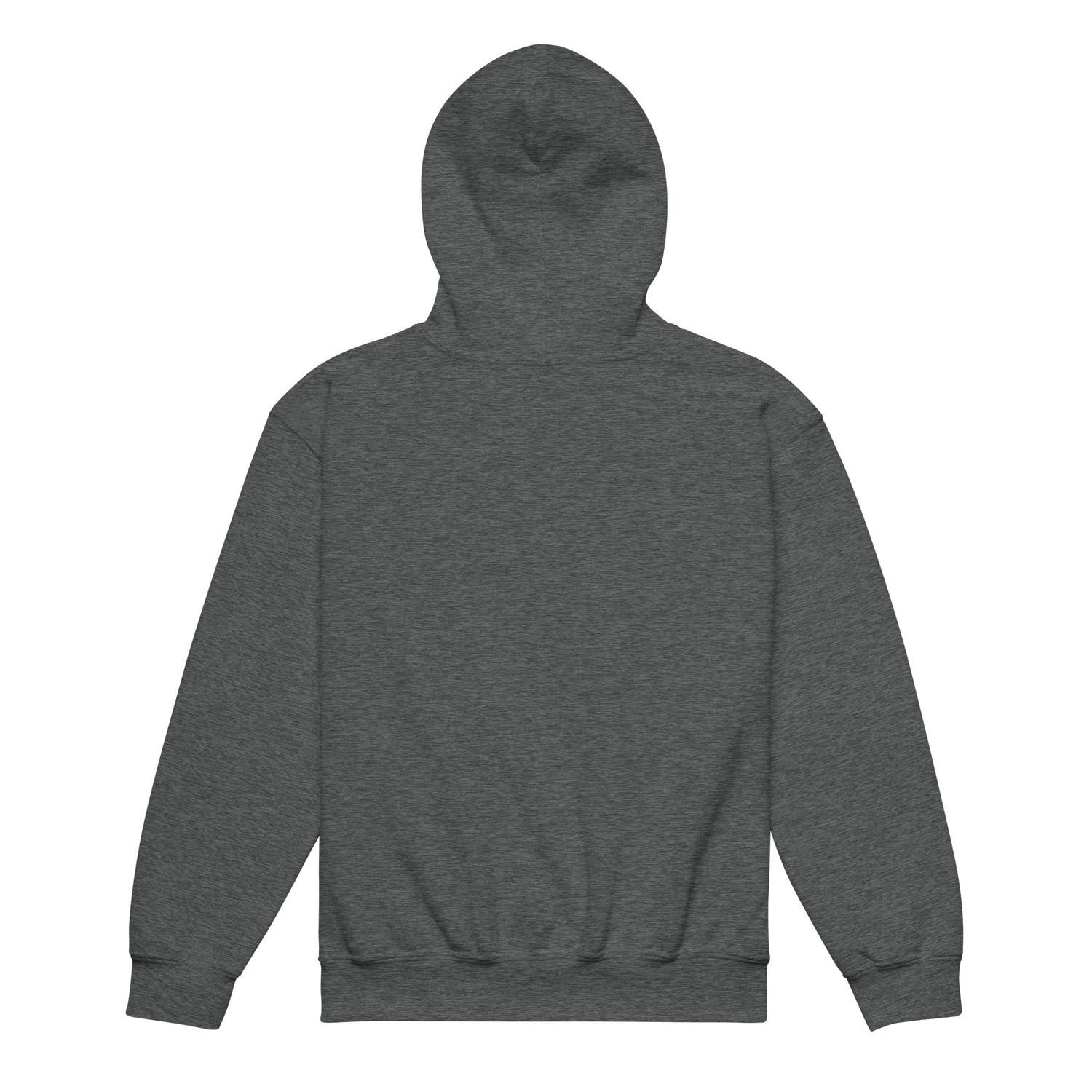 kids-2026-foals-lineup-hoodie-by-katie-van-slyke-dark-heather-back