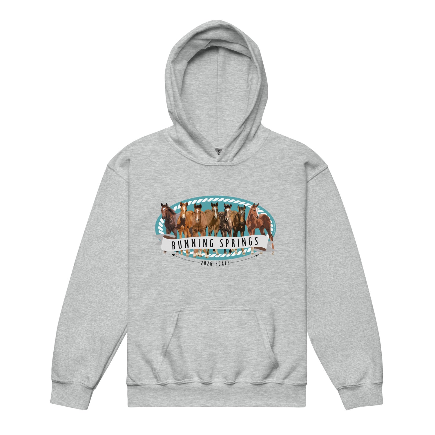 kids-2026-foals-lineup-hoodie-by-katie-van-slyke-sport-grey