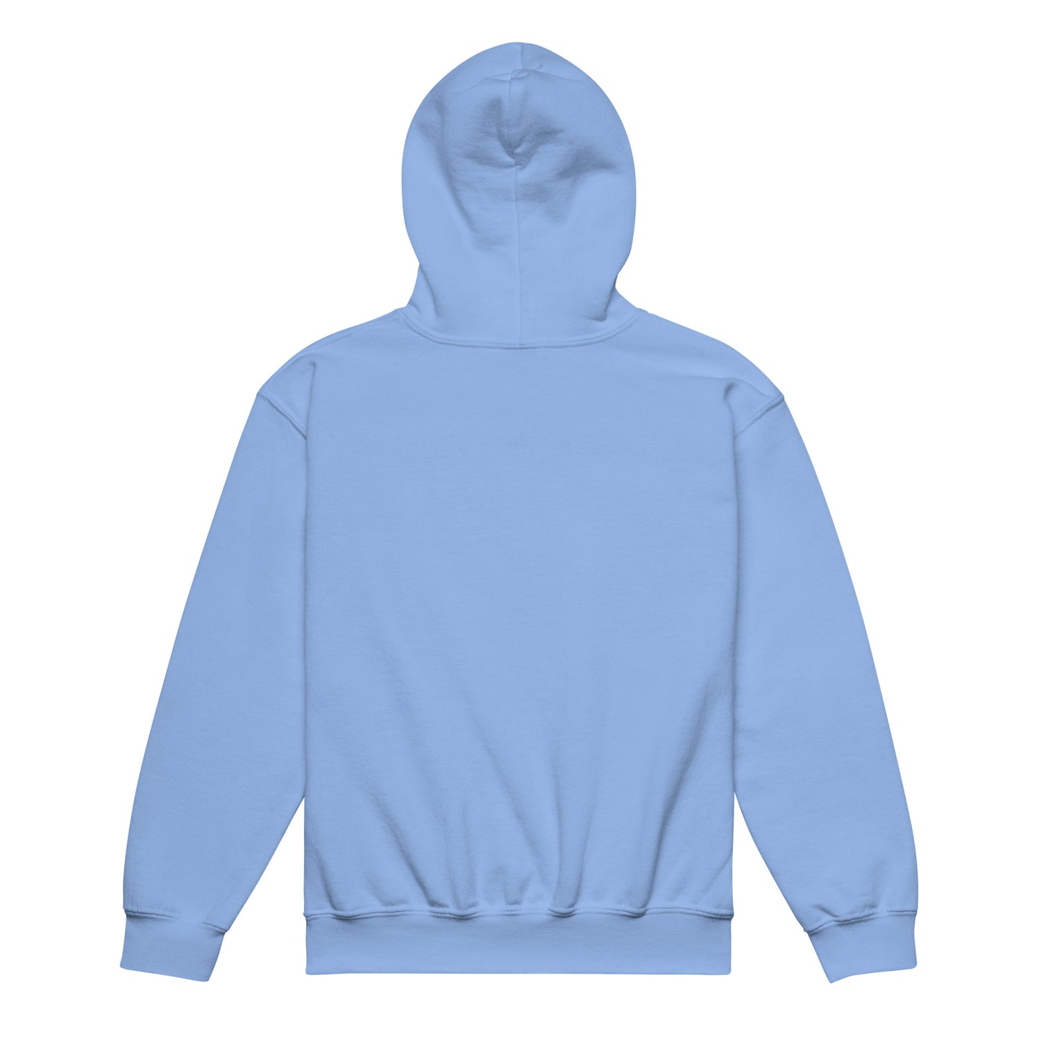 kids-2026-foals-sketch-hoodie-by-katie-van-slyke-carolina-blue-back