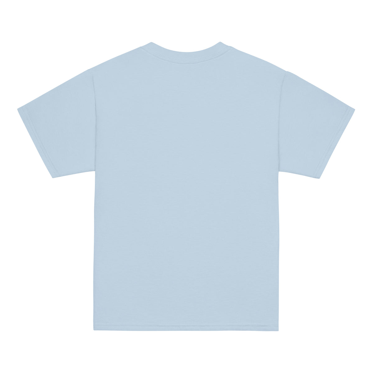 KIDS Blessed Goaties T-Shirt by Katie Van Slyke - Light Blue back