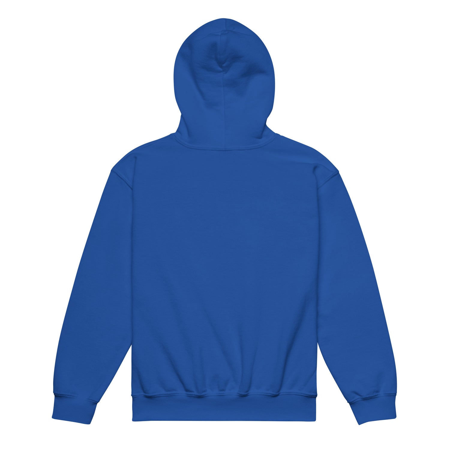 kids-frankies-fireworks-hoodie-by-katie-van-slyke-royal-back