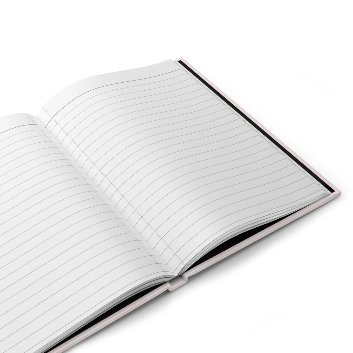 Petunia Journal by Katie Van Slyke - Inside