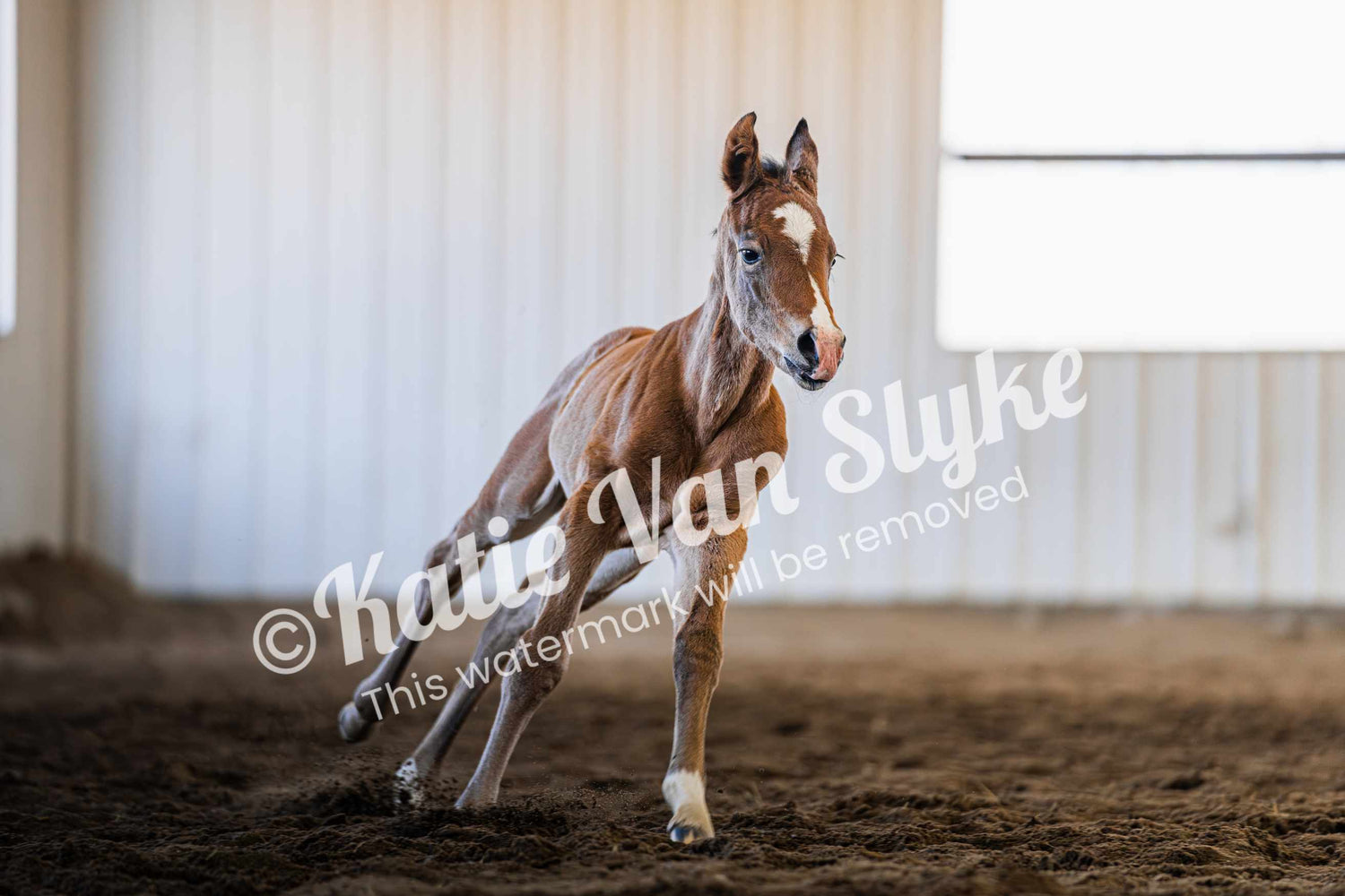 Racer Bobbi Digital Download by Katie Van Slyke®