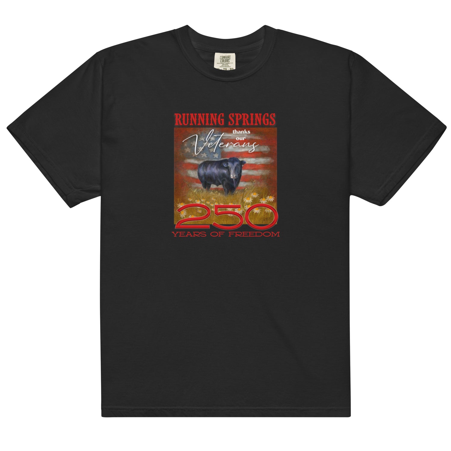 Running Springs 250 T-Shirt by Terri Van Slyke - Black