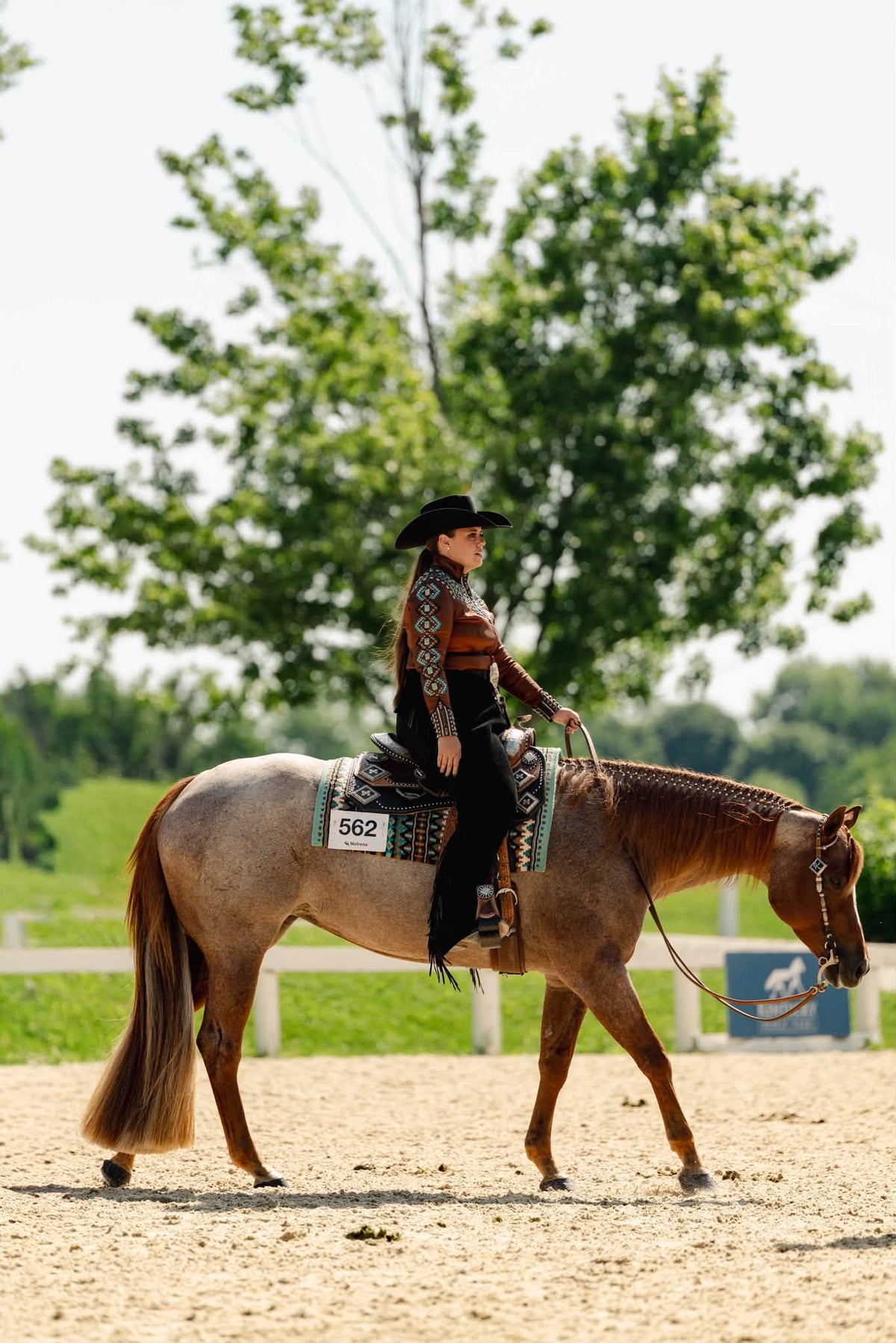 AQHA Life at Running Springs