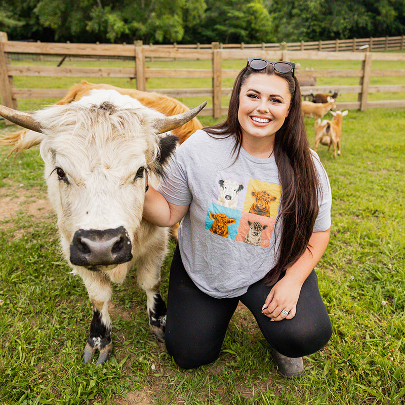 how much does a mini cow cost