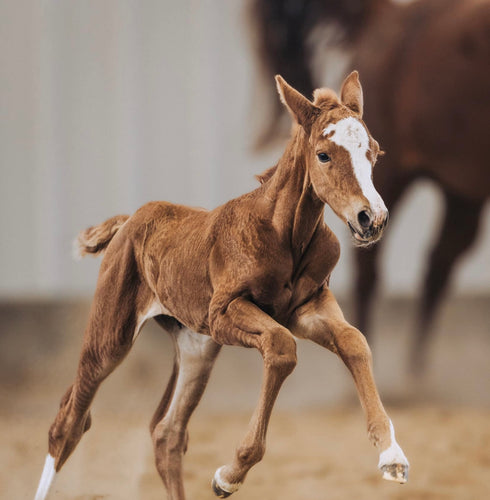 Happy First Birthday, Noelle! A Look at Her Journey and Challenges