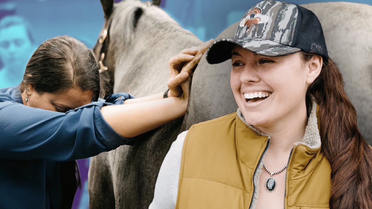 Horses Go To The Chiropractor?!