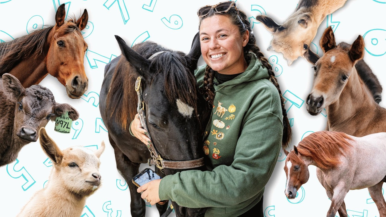 how many animals does katie van slyke have