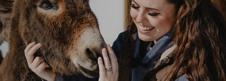 Official Donkey Merch | Katie Van Slyke Apparel & Gifts