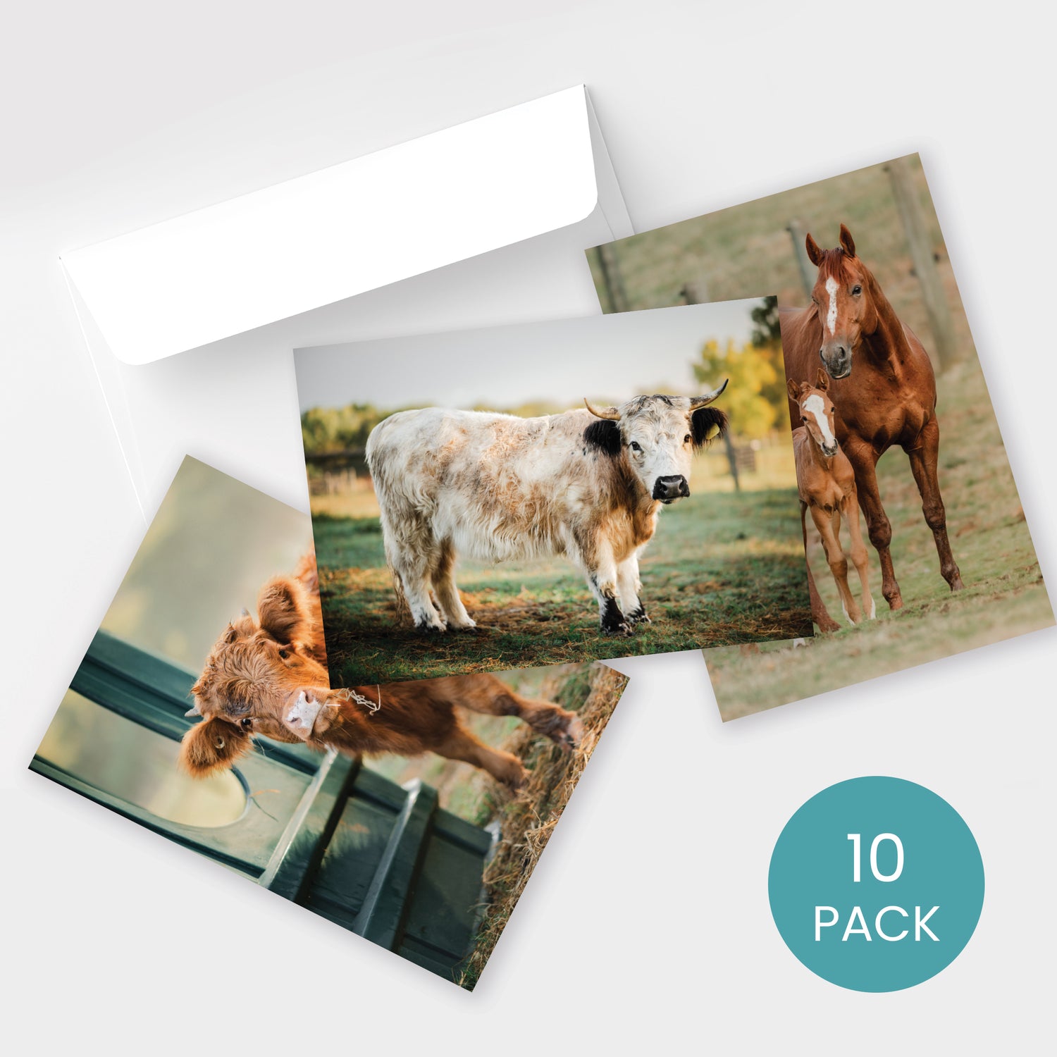10 Pack Greeting Cards by Katie Van Slyke®