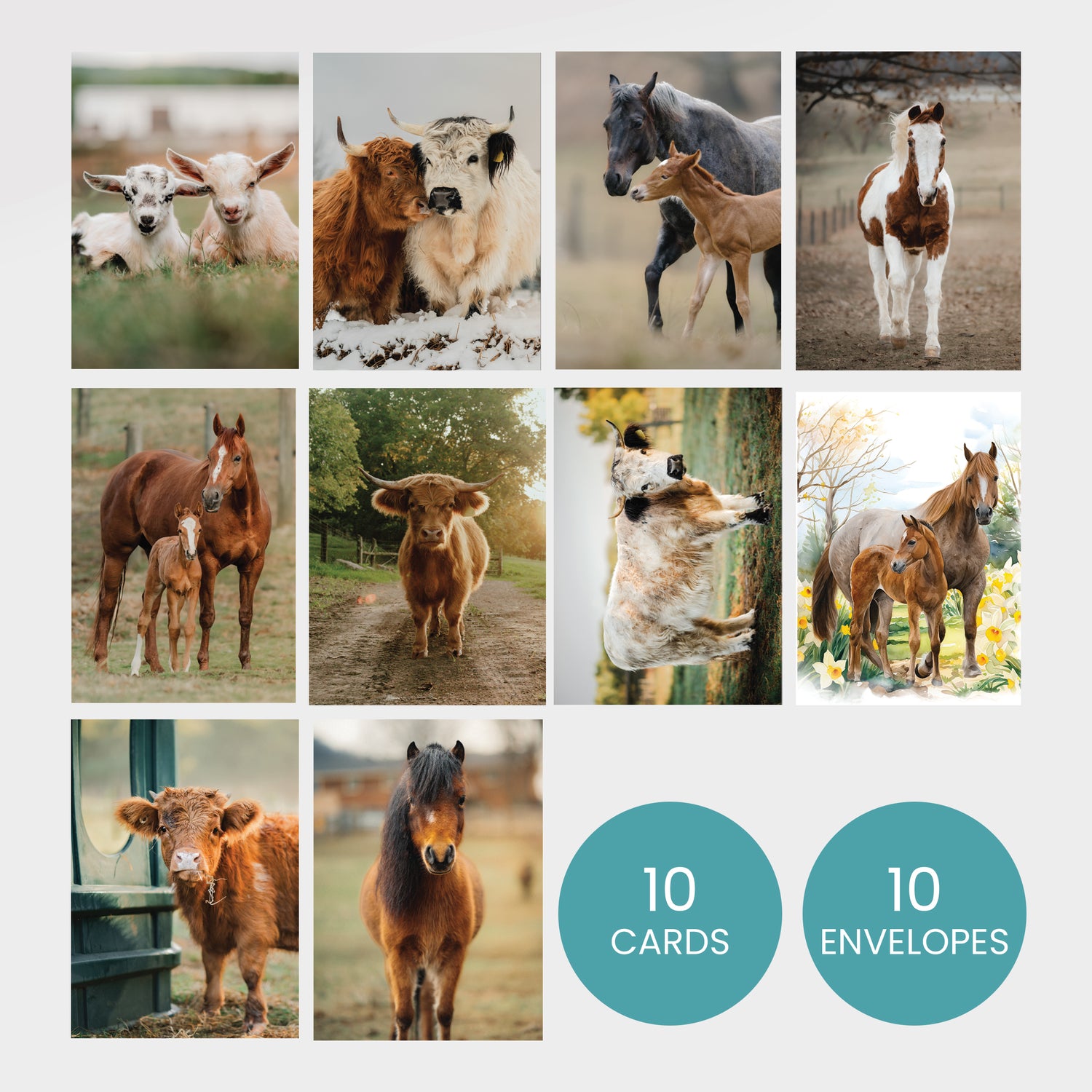10 Pack Greeting Cards by Katie Van Slyke® all 10