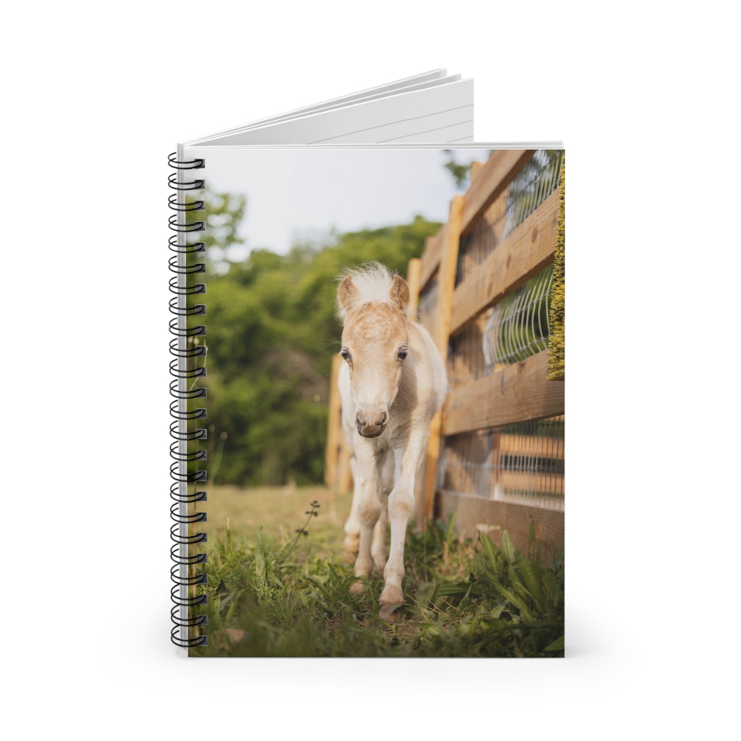 Squirt Spiral Notebook by Katie Van Slyke