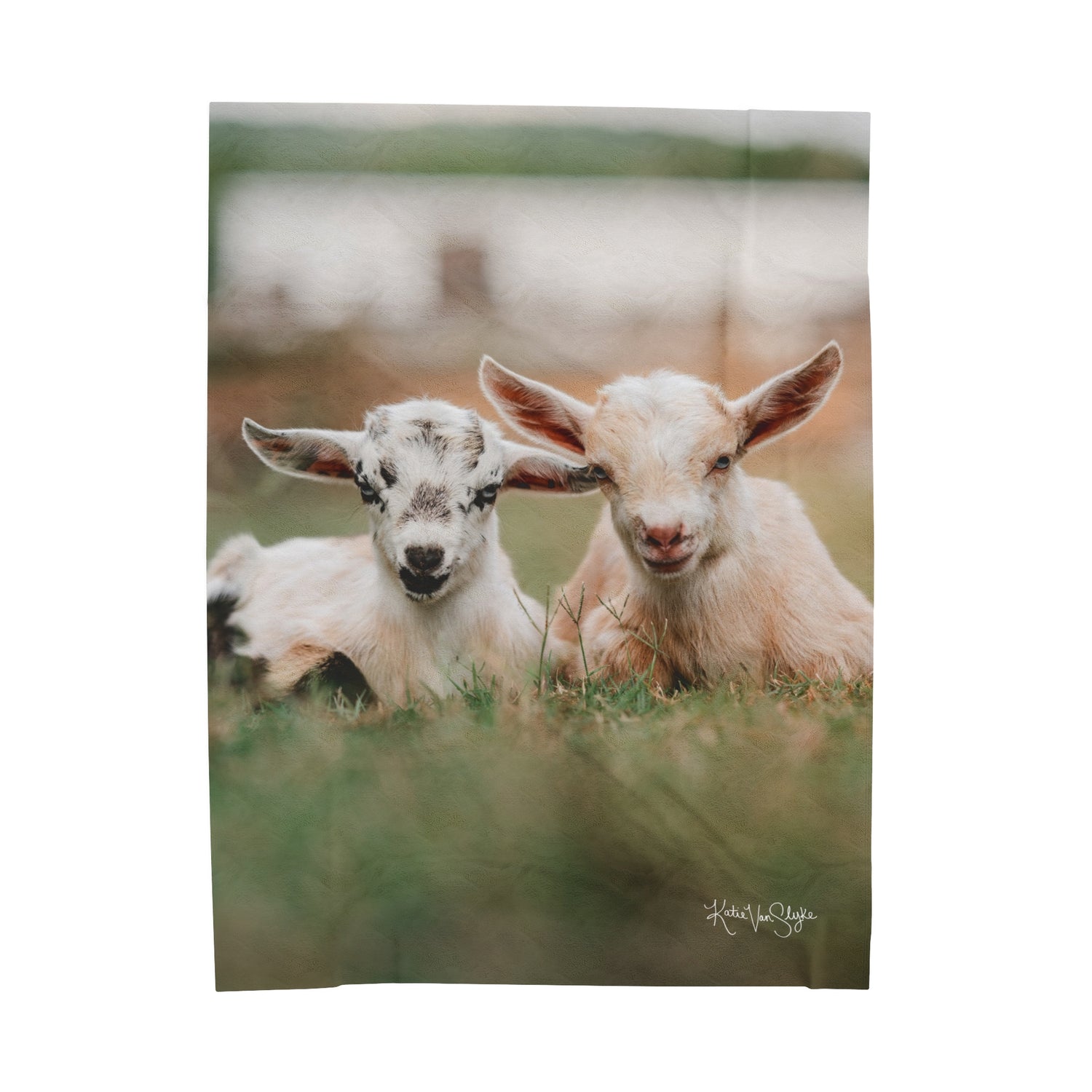 Mini Goats Blanket by Katie Van Slyke