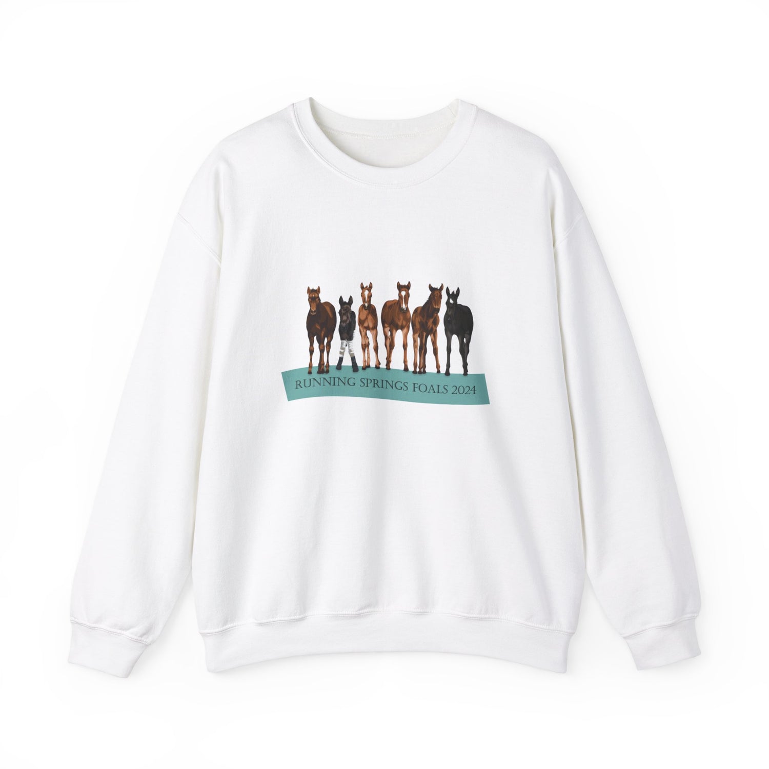 Running Springs 2024 Foals Sweatshirt by Katie Van Slyke