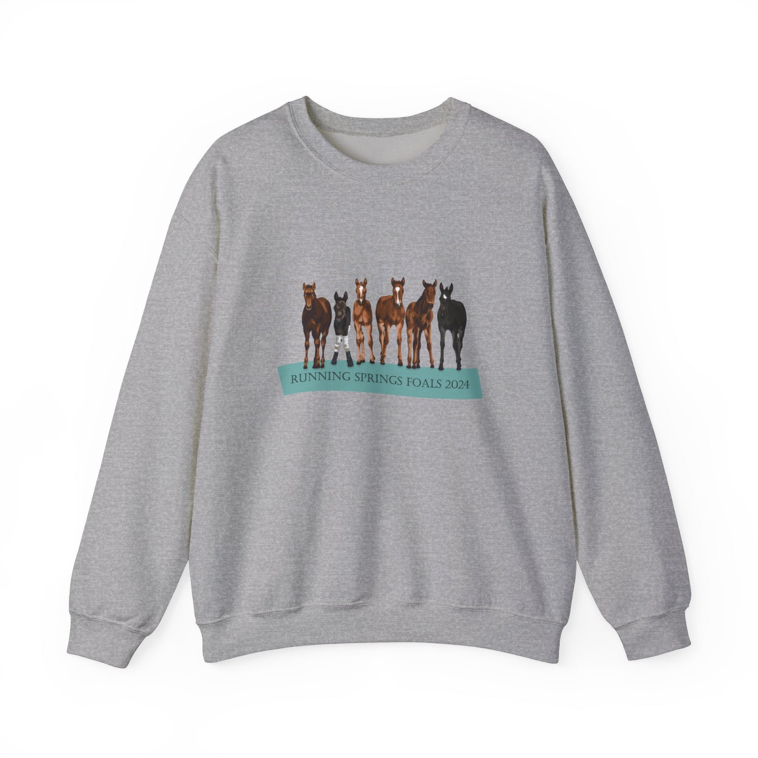 Running Springs 2024 Foals Sweatshirt by Katie Van Slyke