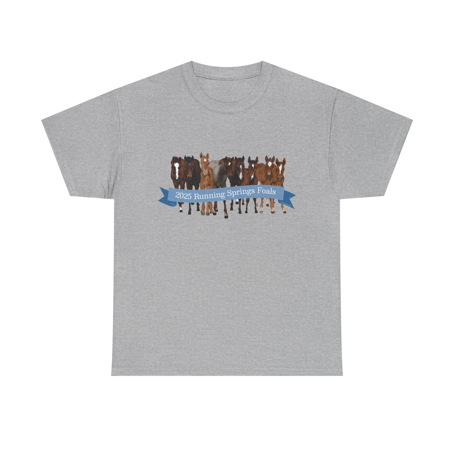 2025 Running Springs Foals T-Shirt by Katie Van Slyke™ Sport Grey