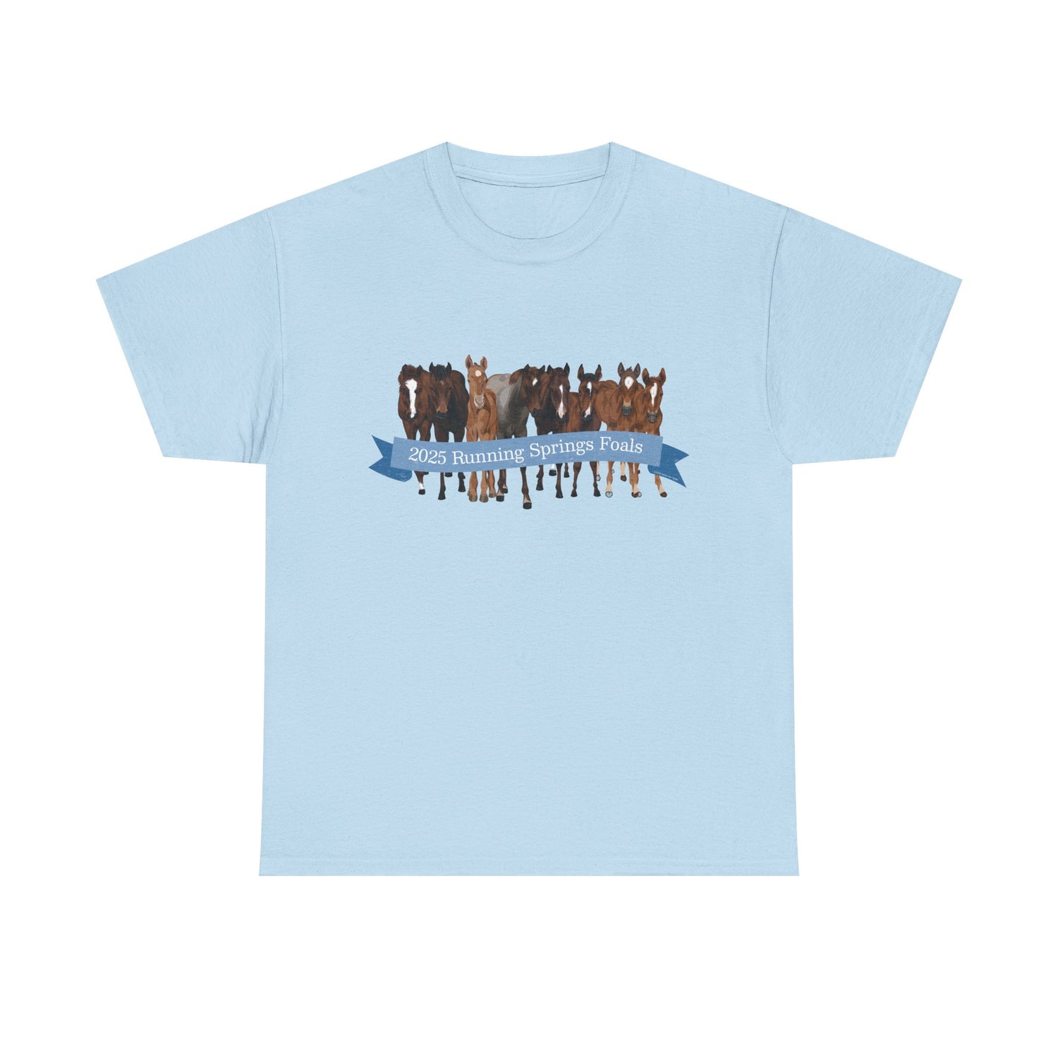 2025 Running Springs Foals T-Shirt by Katie Van Slyke™ Light Blue