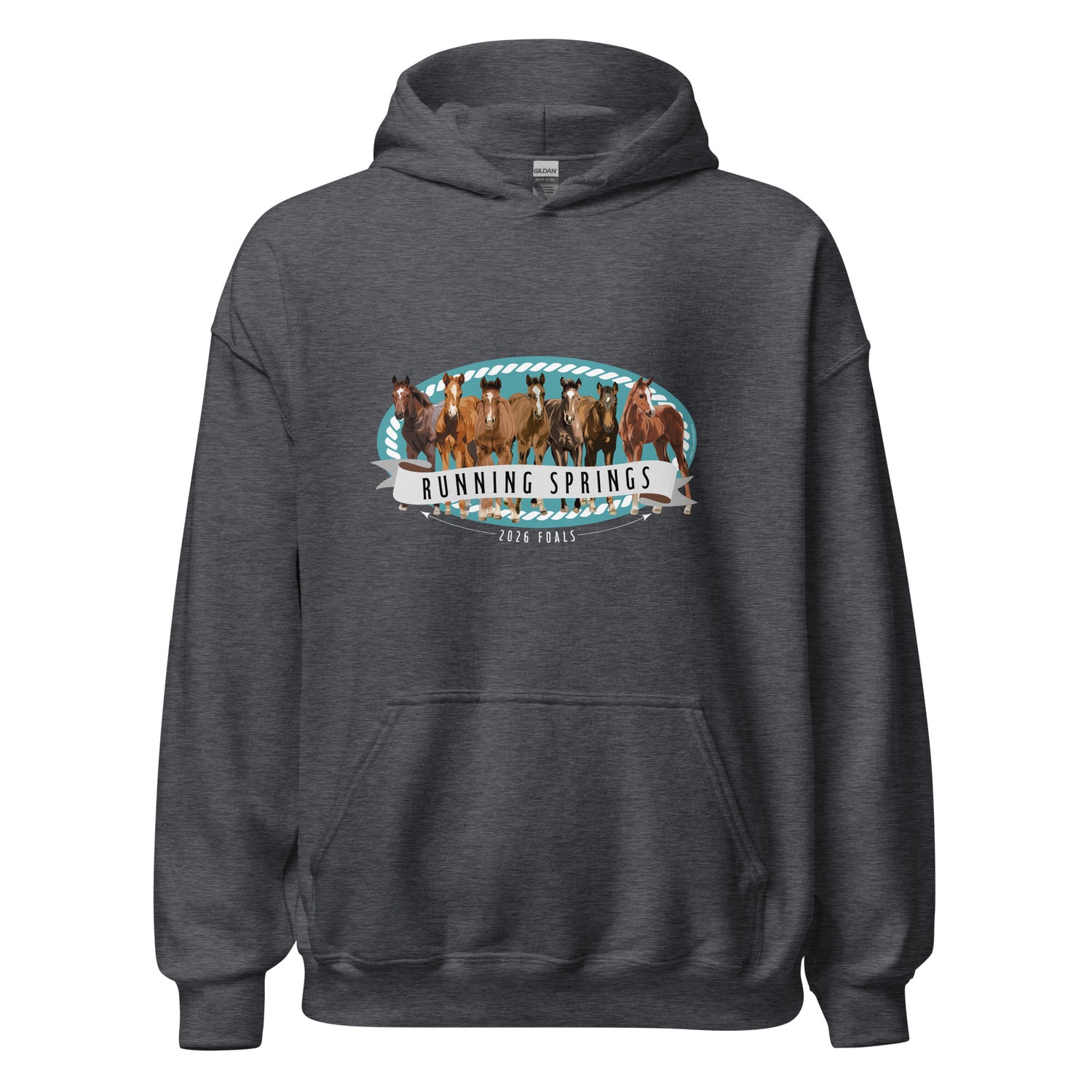 2026 Foals Lineup Hoodie by Katie Van Slyke - Dark Heather