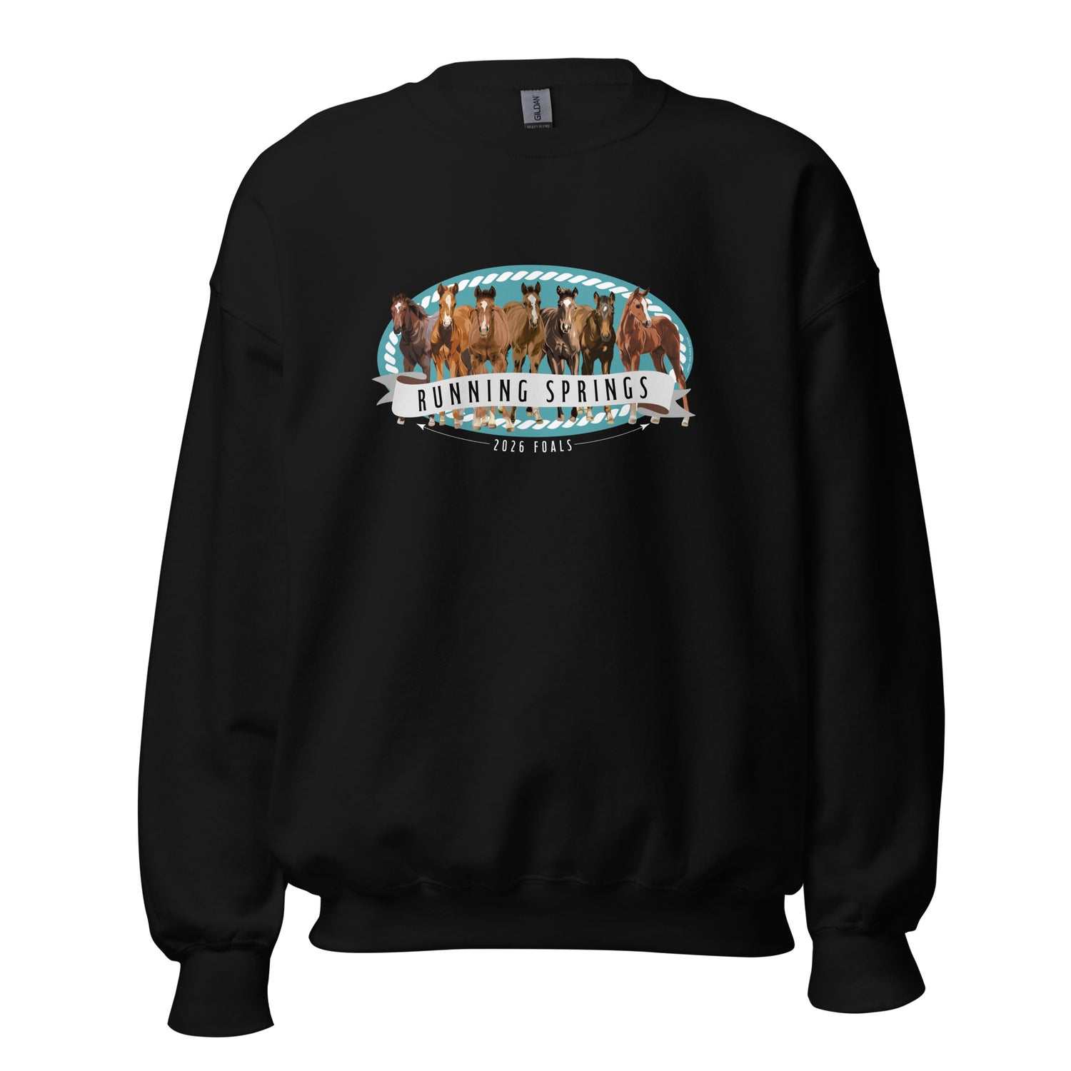 2026 Foals Lineup Sweatshirt by Katie Van Slyke - Black