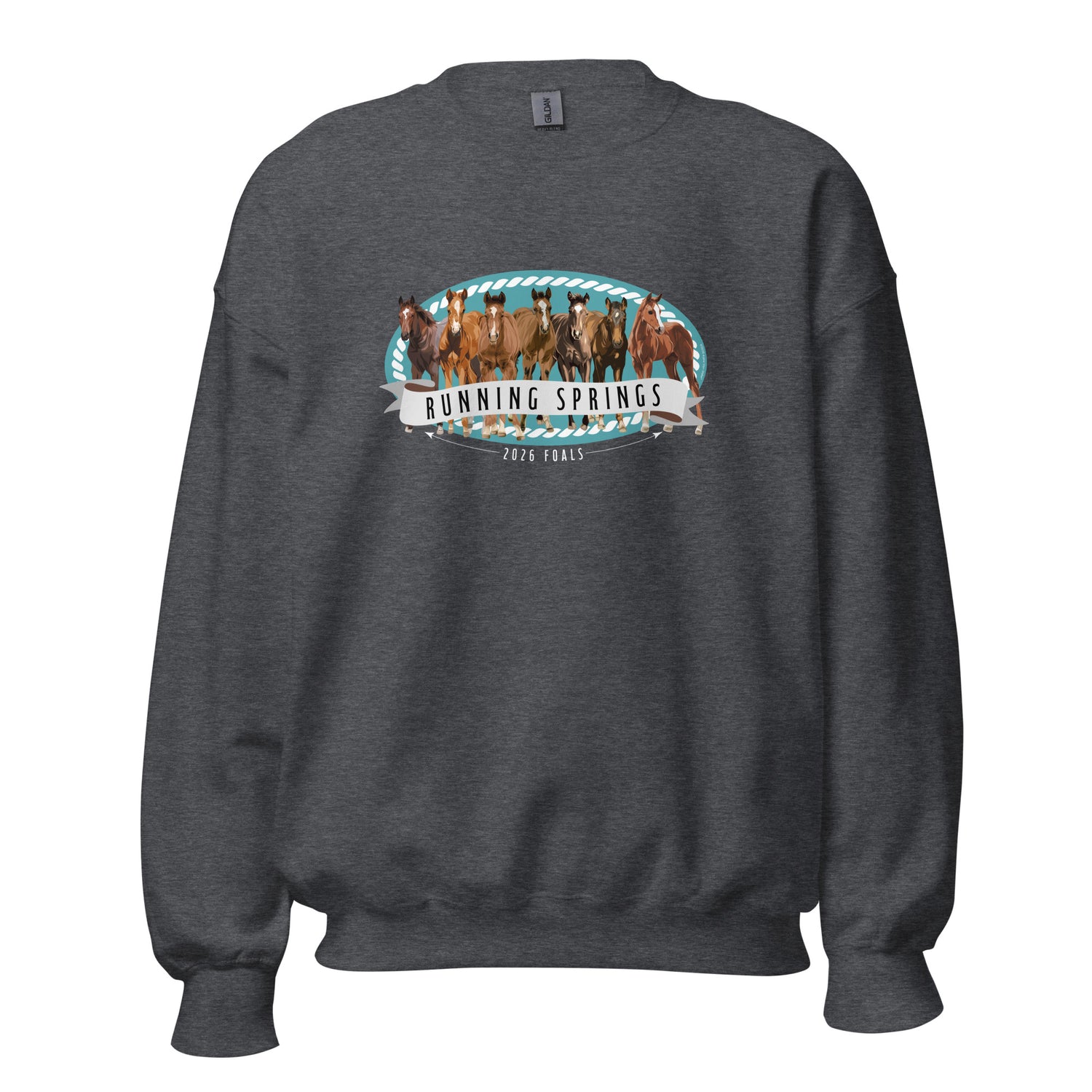 2026 Foals Lineup Sweatshirt by Katie Van Slyke - Dark Heather