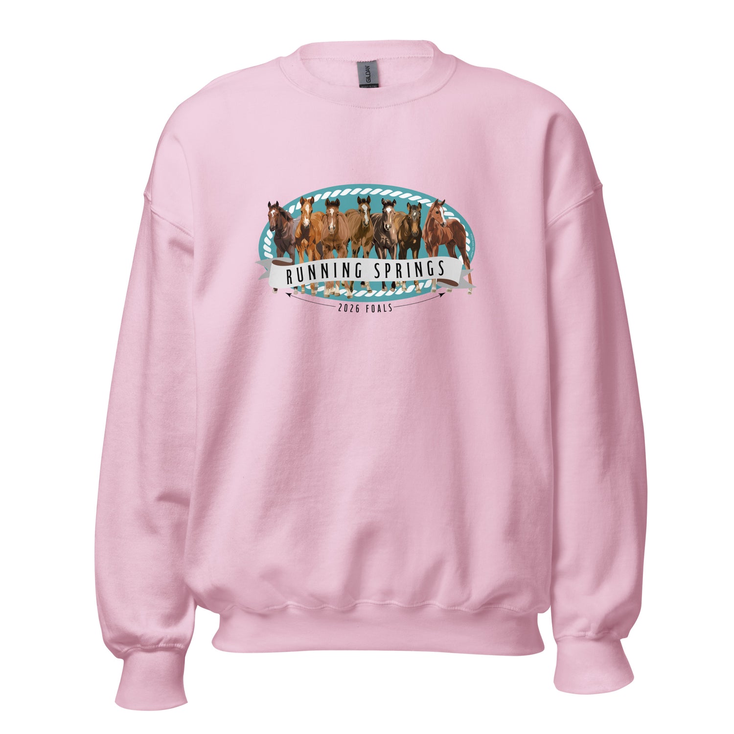 2026 Foals Lineup Sweatshirt by Katie Van Slyke - Light Pink