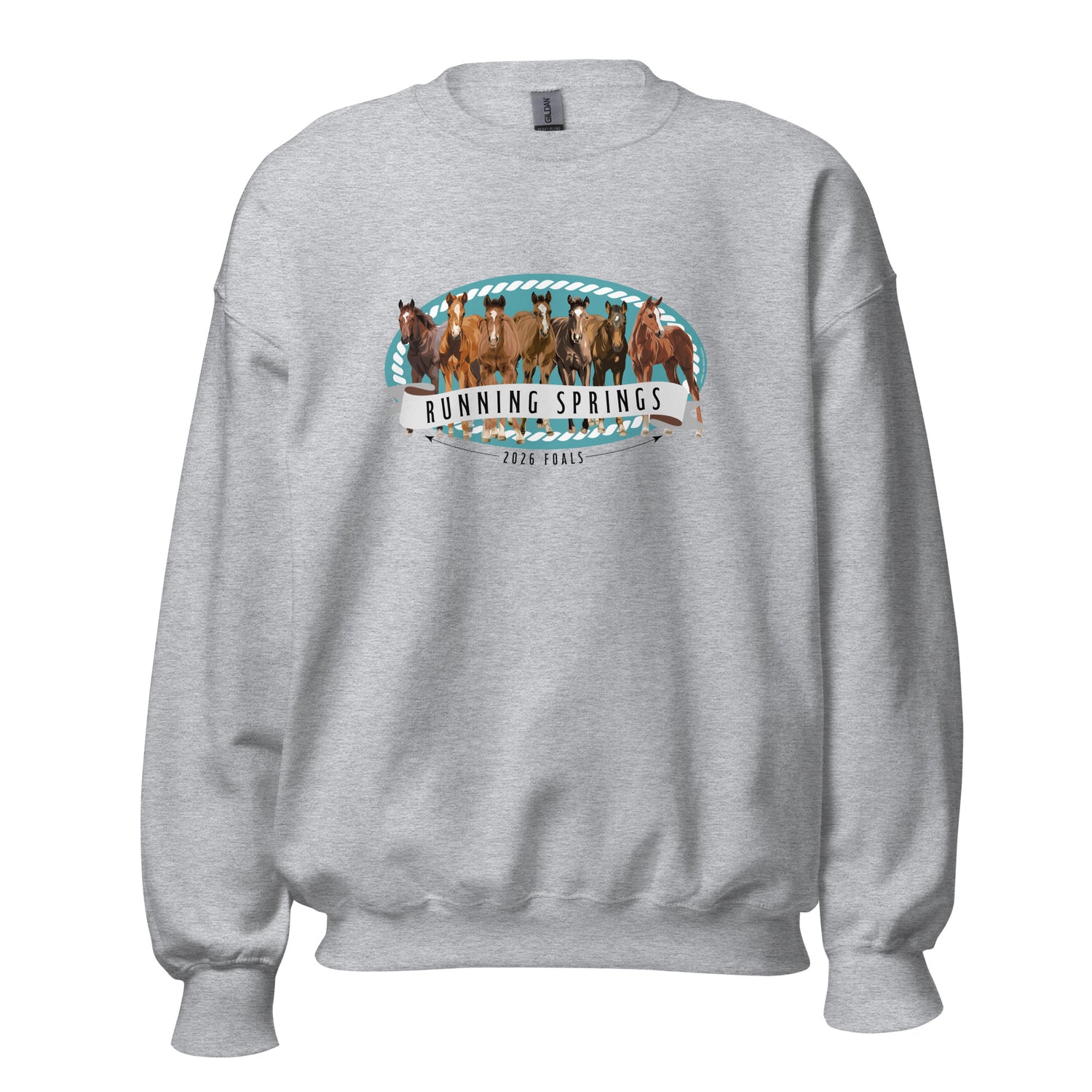 2026 Foals Lineup Sweatshirt by Katie Van Slyke - Sport Grey