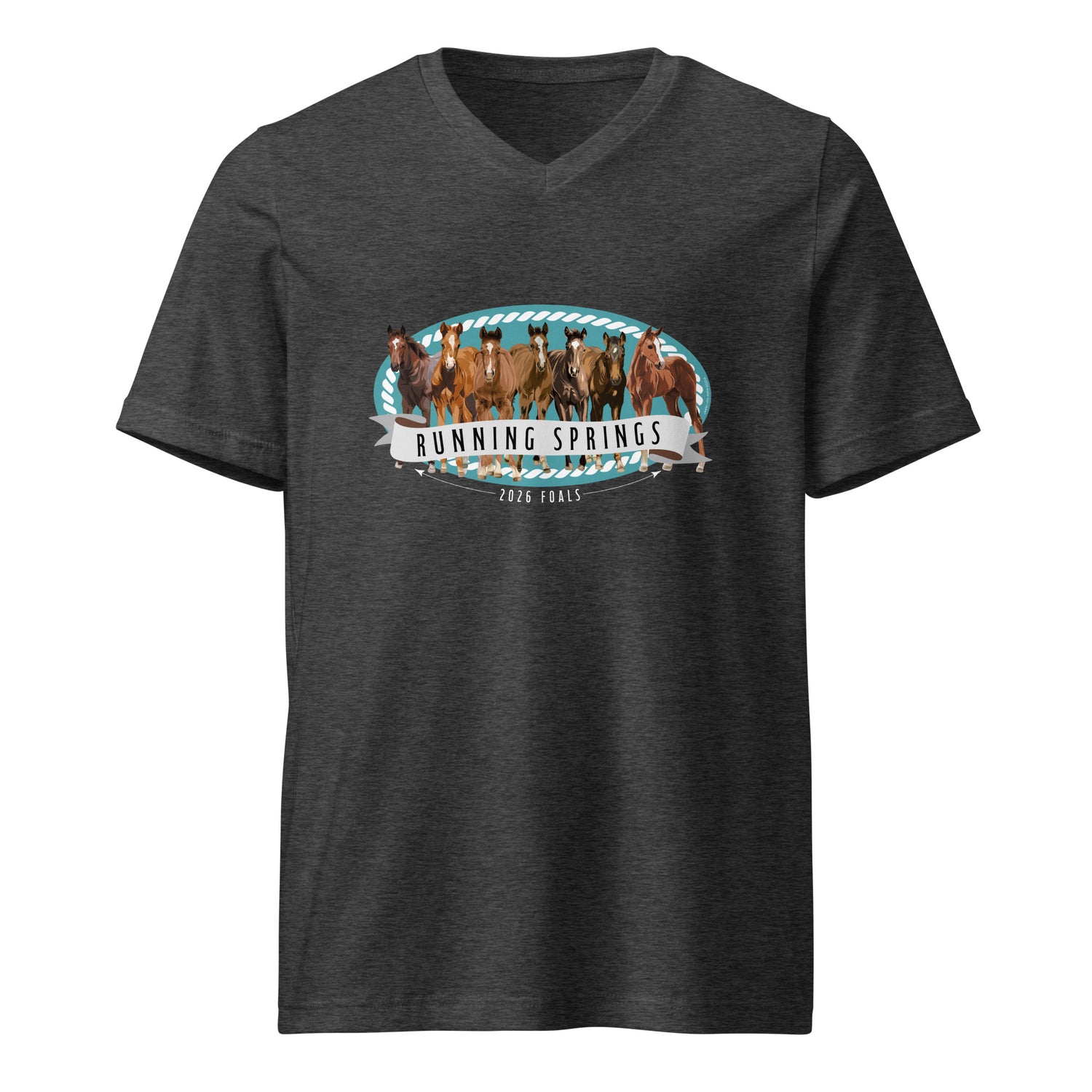 2026 Foals Lineup V-Neck T-Shirt by Katie Van Slyke - Dark Grey Heather