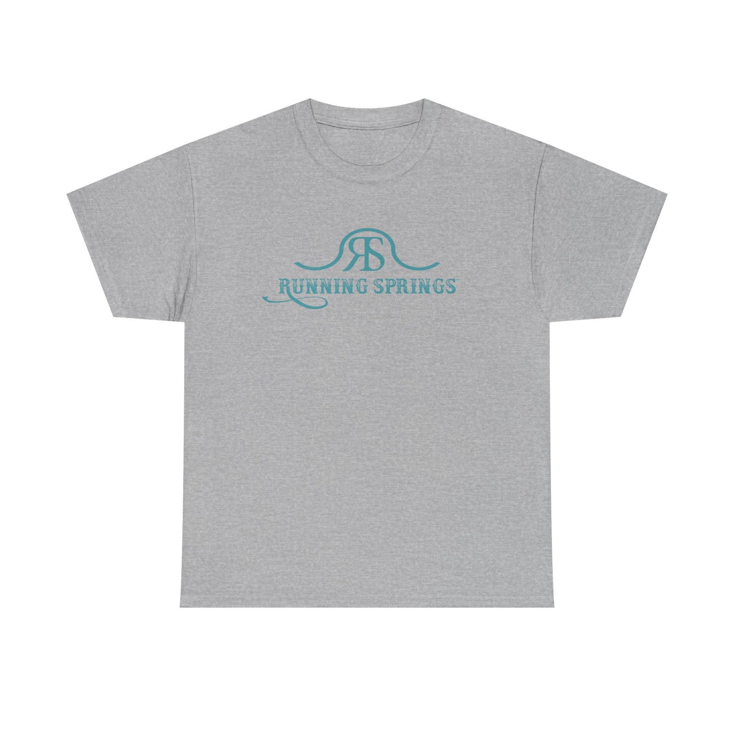 2026 Running Springs T-Shirt by Katie Van Slyke® Sport Grey
