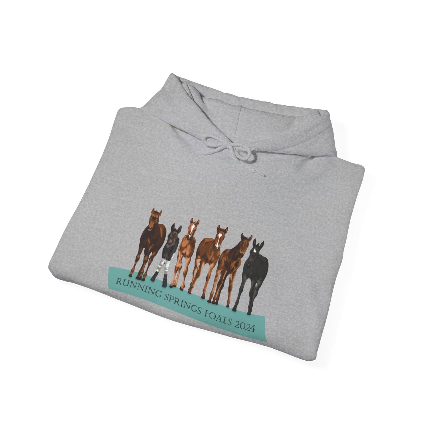 Running Springs 2024 Foals Hoodie by Katie Van Slyke