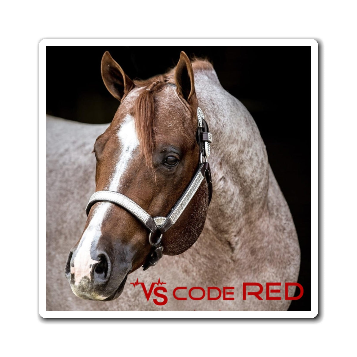 VS Code Red Magnets by Katie Van Slyke