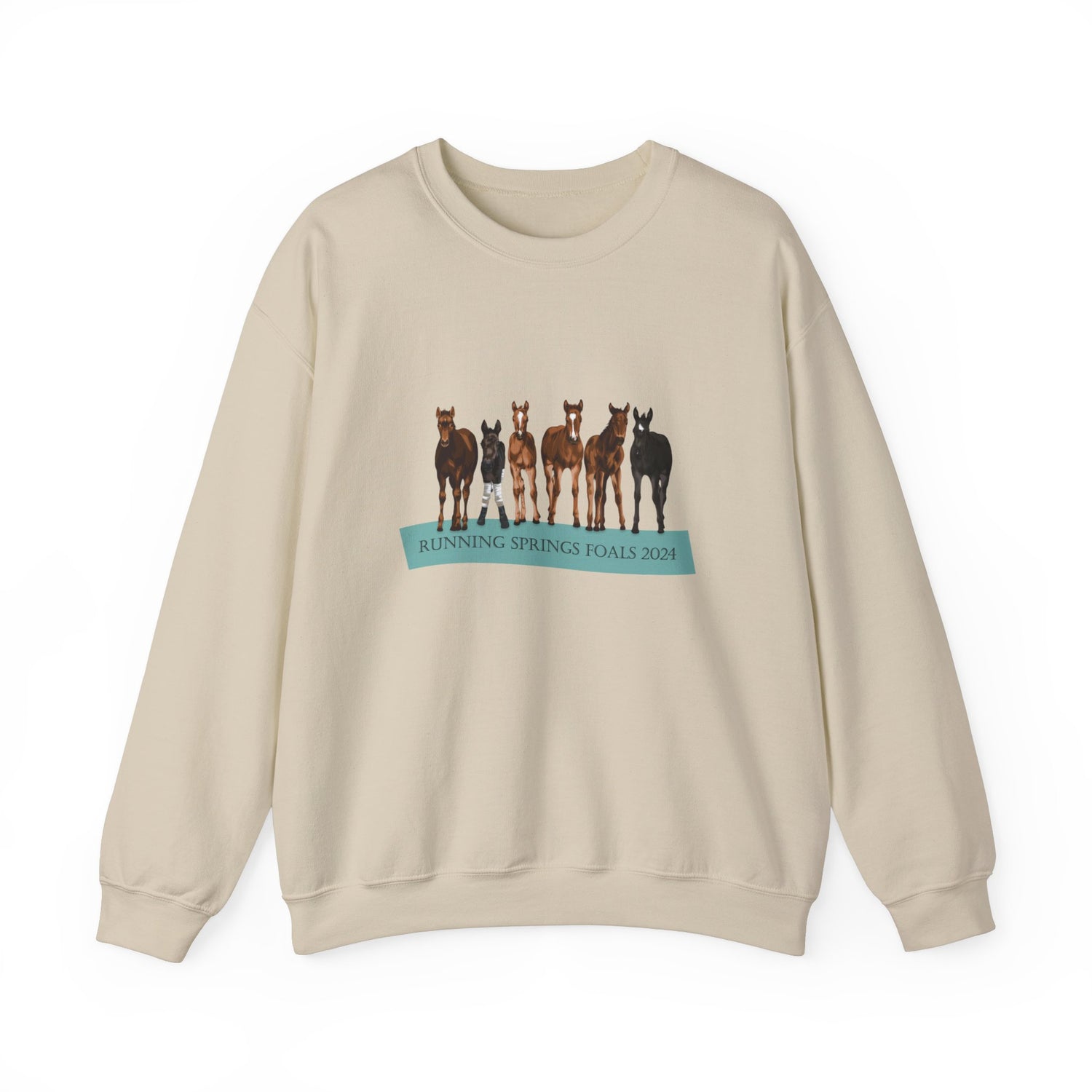 Running Springs 2024 Foals Sweatshirt by Katie Van Slyke