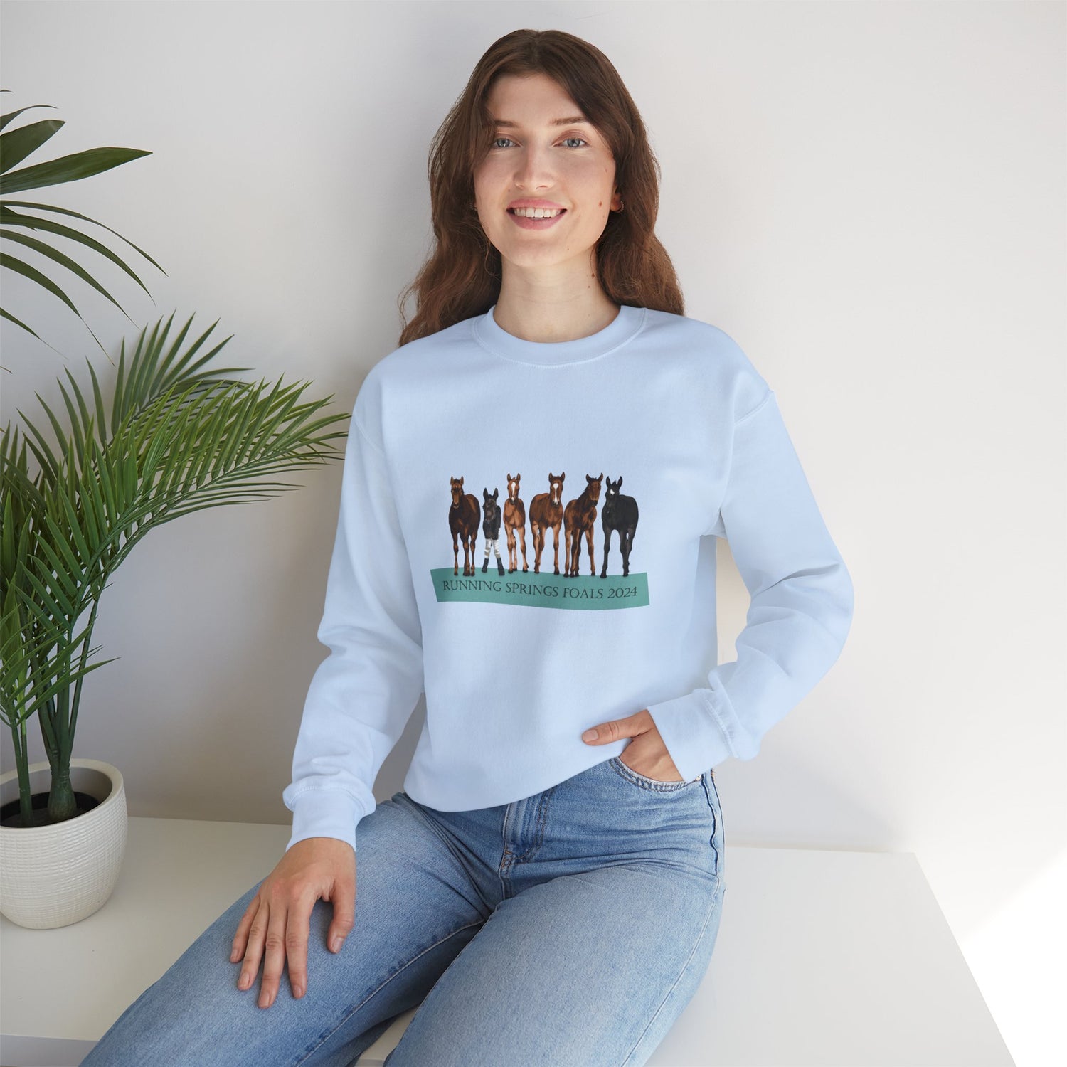 Running Springs 2024 Foals Sweatshirt by Katie Van Slyke