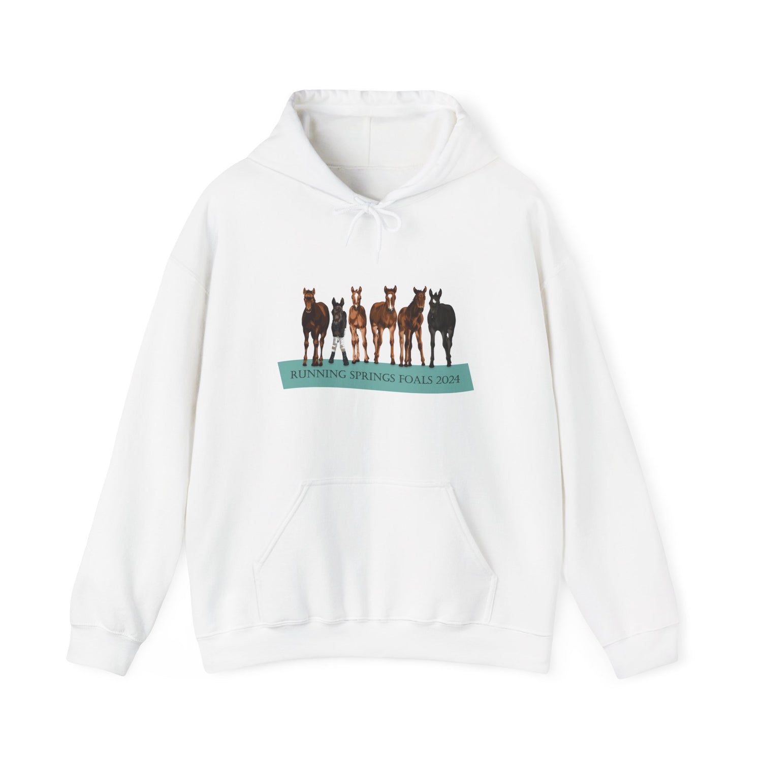 Running Springs 2024 Foals Hoodie by Katie Van Slyke