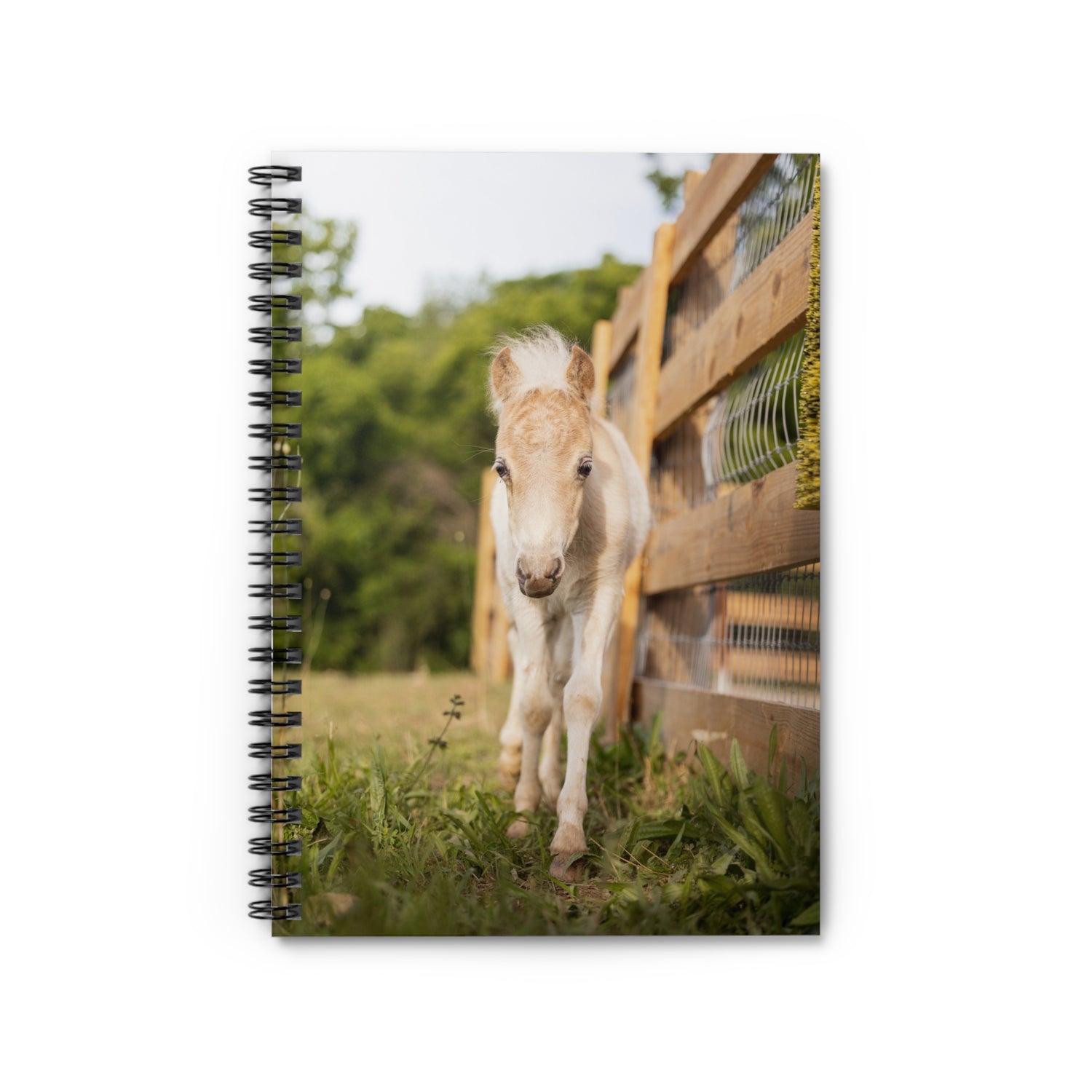 Squirt Spiral Notebook by Katie Van Slyke