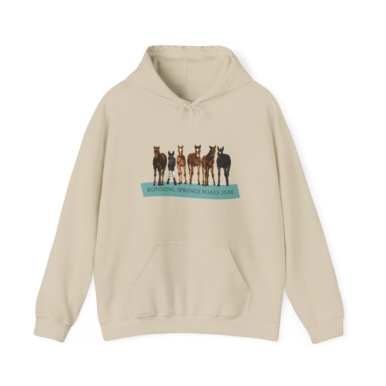 Running Springs 2024 Foals Hoodie by Katie Van Slyke