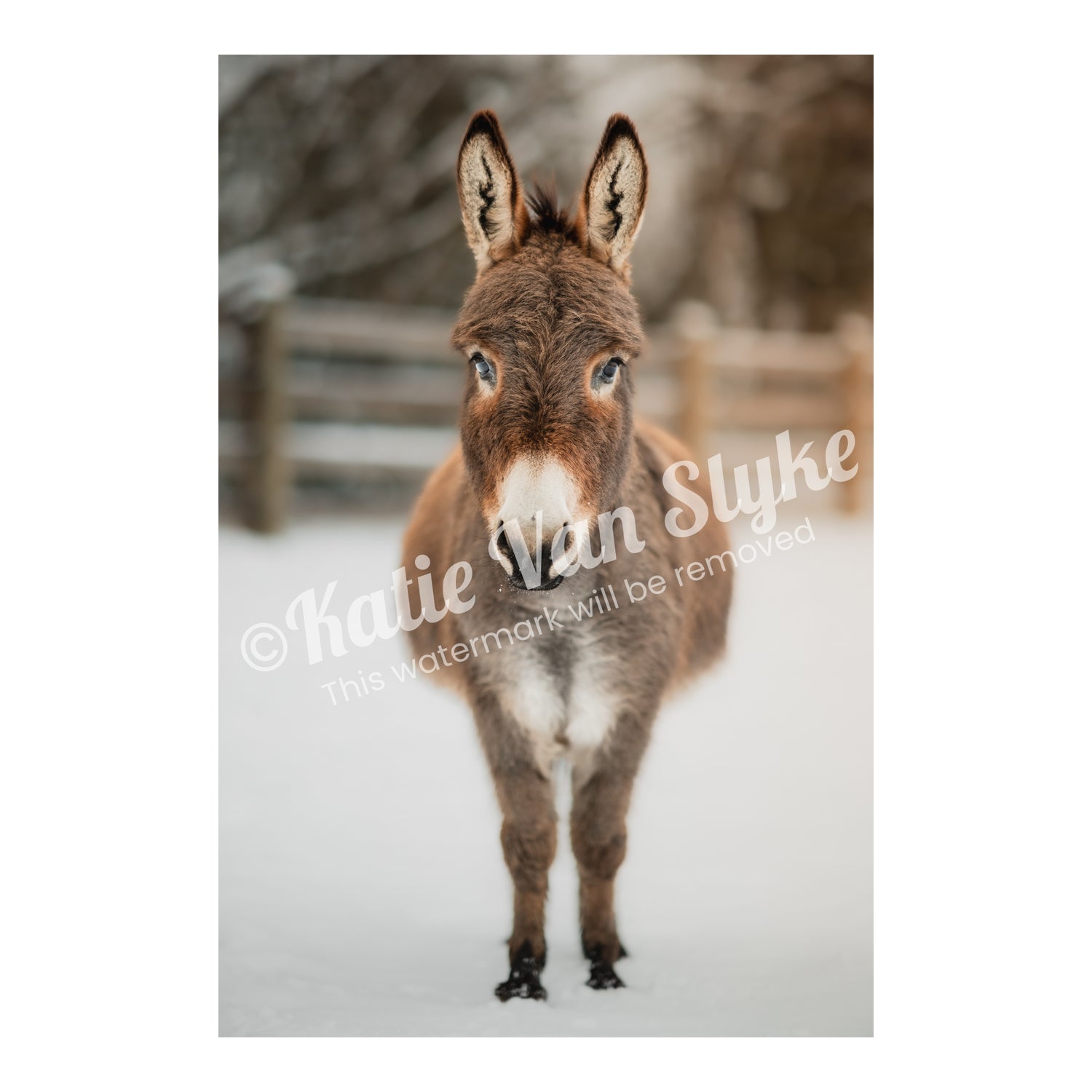 Blanche Snow Digital Download by Katie Van Slyke