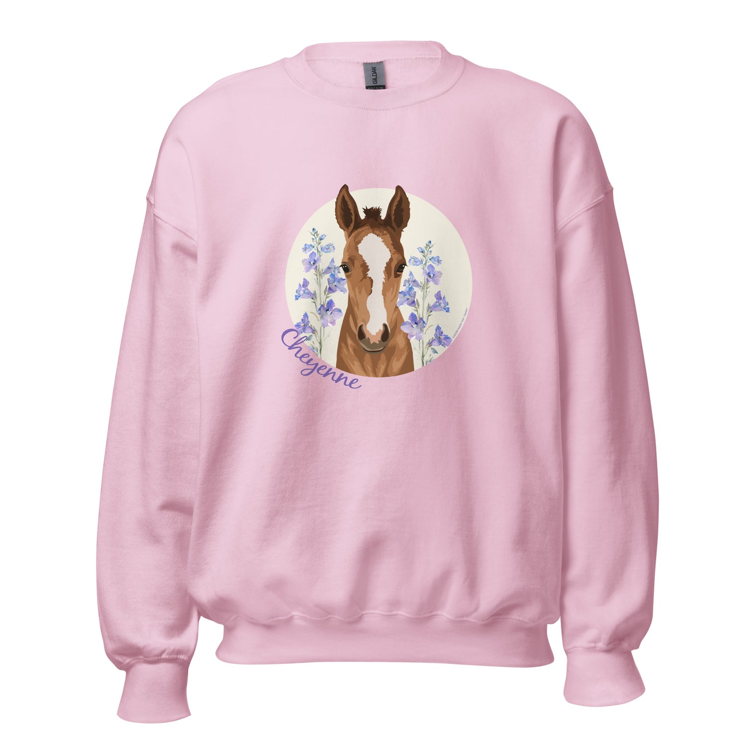 Cheyenne Sweatshirt by Katie Van Slyke - Light Pink