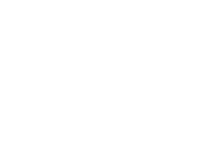 Decibullz logo