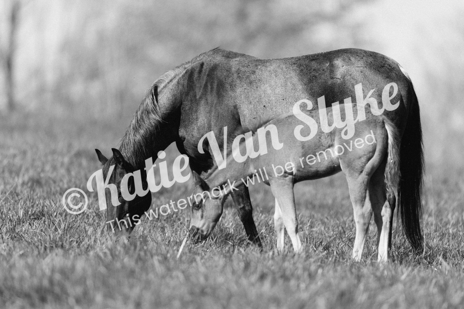 Ethel and Ruby Digital Download by Katie Van Slyke™