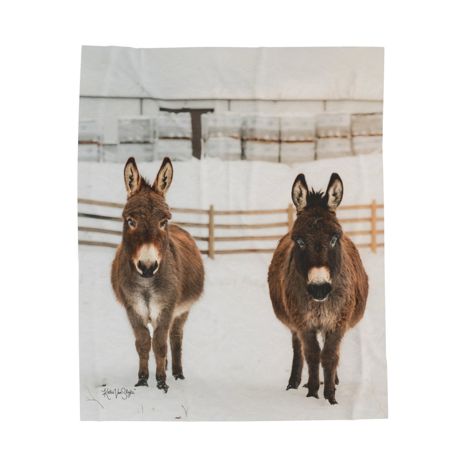 Donkeys Plush Blanket by Katie Van Slyke