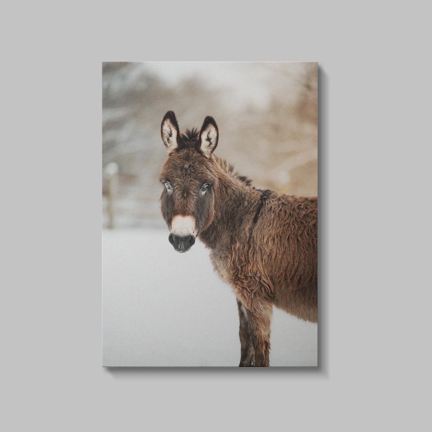 Dorothy Snow Digital Download by Katie Van Slyke