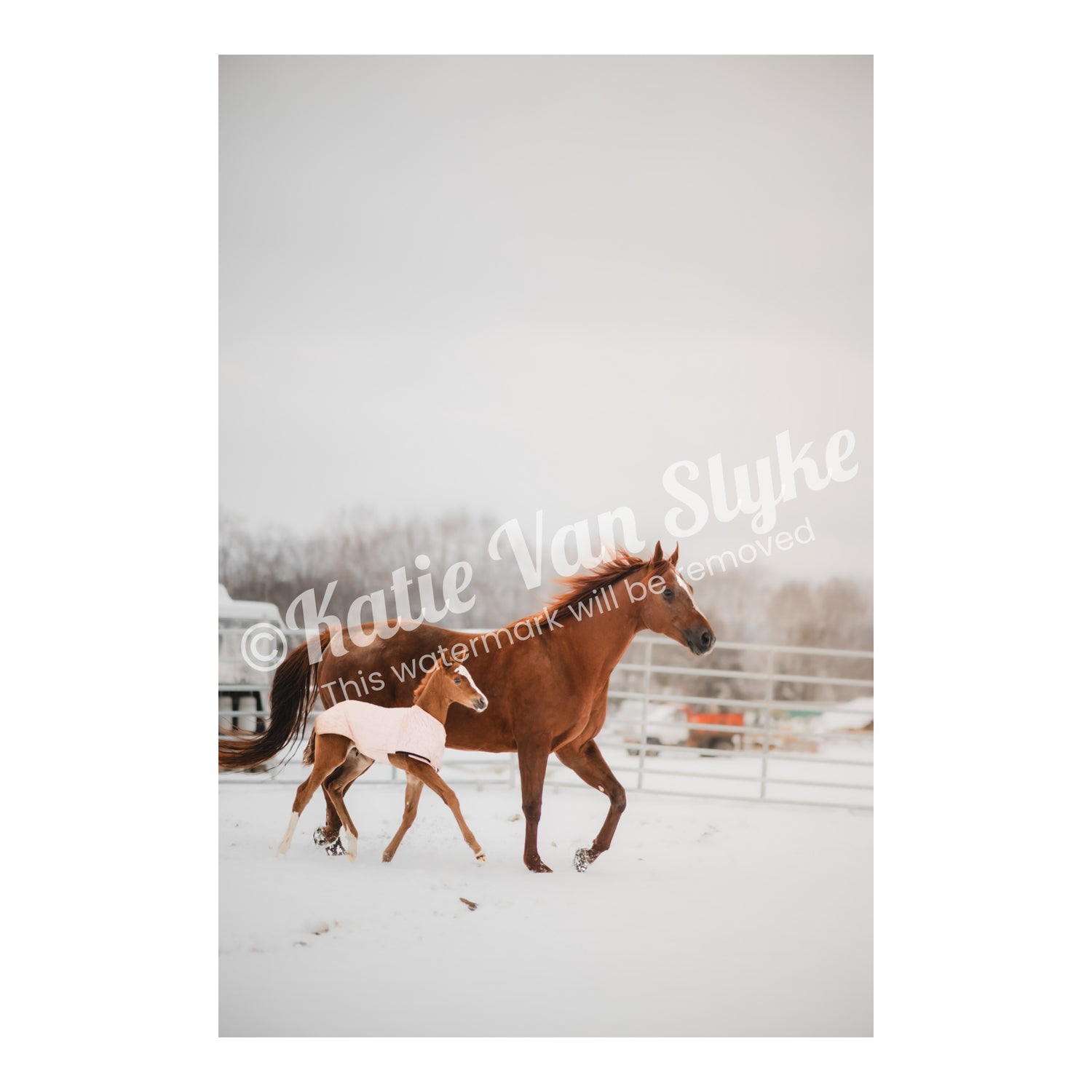 Erlene and Noelle Snow Digital Download by Katie Van Slyke