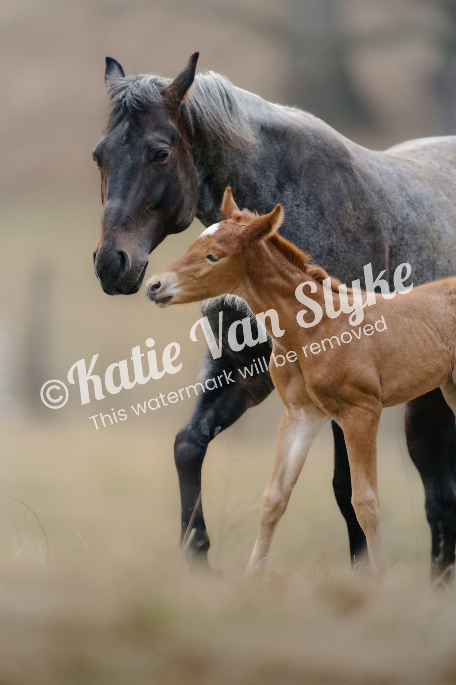 Ethel and Ruby Digital Download by Katie Van Slyke™