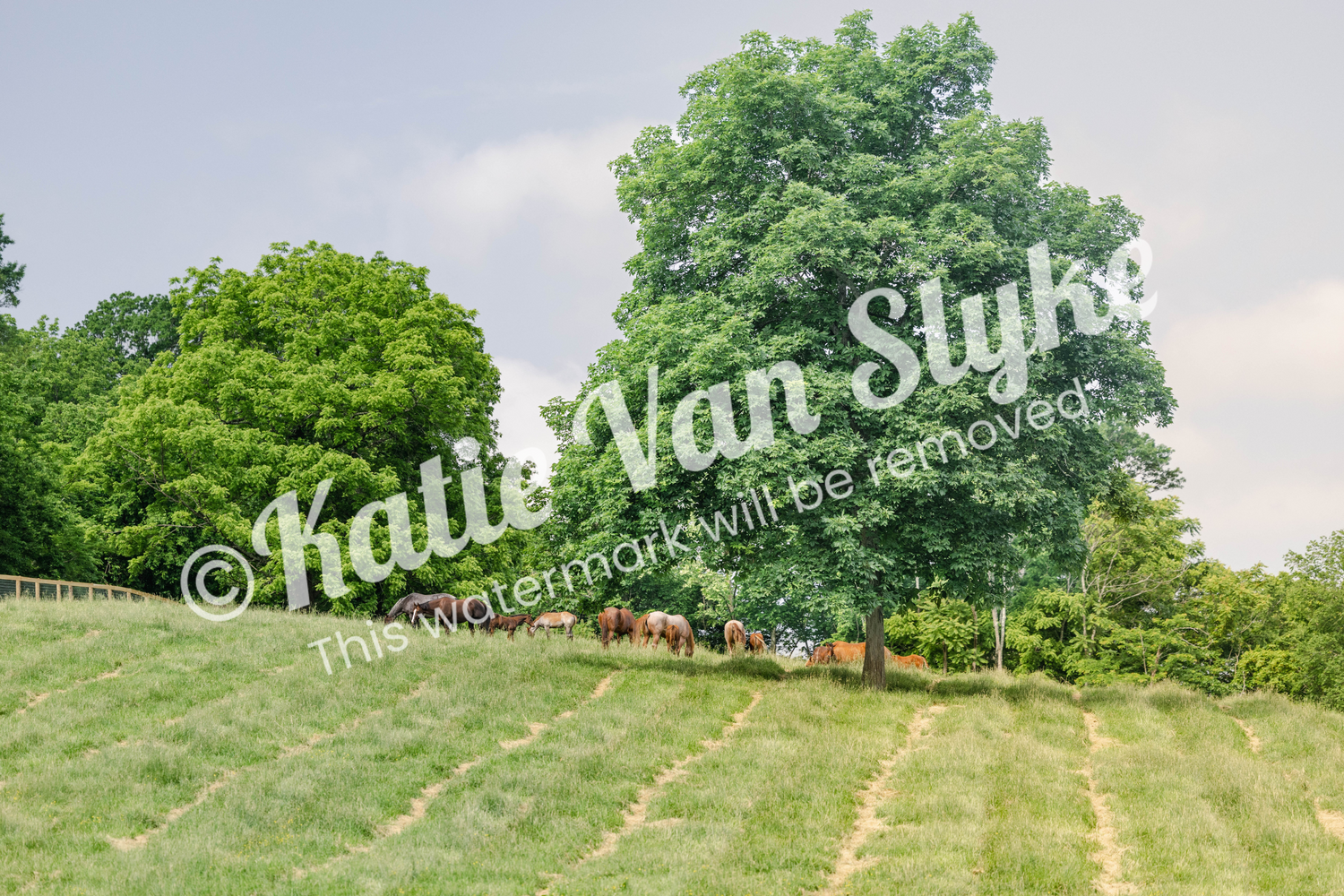 Field Day Digital Download by Katie Van Slyke™